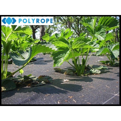Weed Control Groundcover Fabric 100g/m2