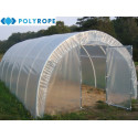 8 METERS WIDE UV4 ROLL CLEAR POLYTHENE SHEETING